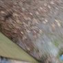 Free Topsoil Image 5