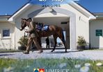 Limerick Races Tickets
