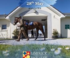 Limerick Races Tickets