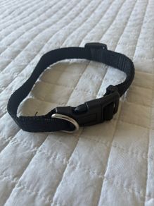 Dog collar