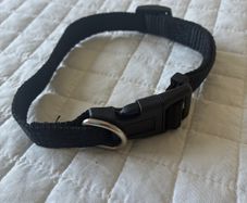 Dog collar