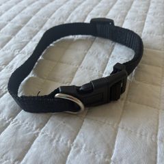 Dog collar