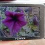 Fujifilm Digital Camera FinePix J15fd 8.2MP-works well Image 5