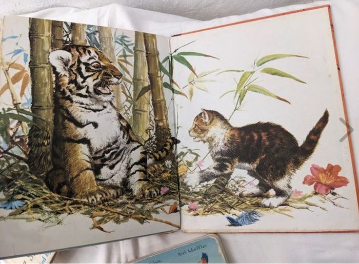 Beautiful Lot of Vintage Children books