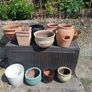 pot Image 2