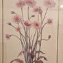 1980's Crepis Rubra framed picture Image 3