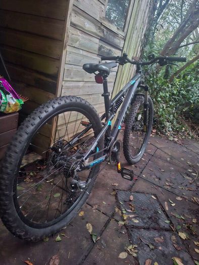 Carrerra mountain bike