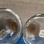 Vintage Salt and Pepper Bamco Longhorn Design Leather covered circa 1980 made in Mexico FREE STANDARD POSTAGE INCLUDED Image 10