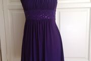 Size 10 Purple Dress