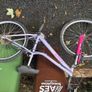 3 bikes free to take away Image 5
