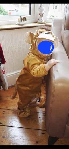 Monkey Costume/Fancy Dress for Baby