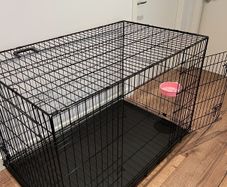 Large dog crate