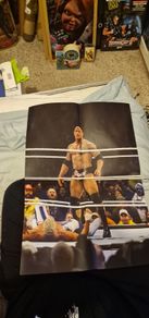 WWE The Rock Poster