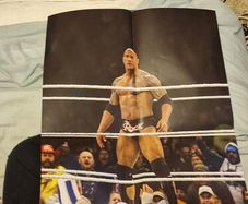 WWE The Rock Poster