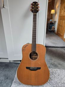 Takamine