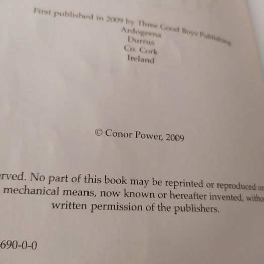 Hurling Revolutionary/ The Life & Times of Ned Power