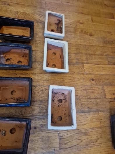 Bonsai pots
