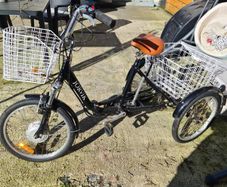 Trike Electric
