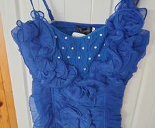 Blue Sexy Top Brand New