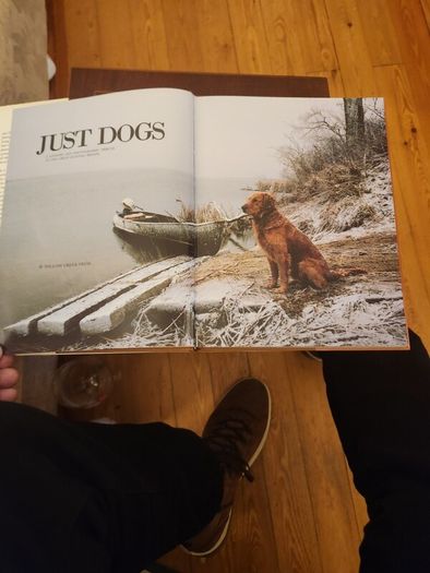 Just Dogs. A Literary & Photographic Tribute To The Great Hunting Breeds. First Edition Large Volume Hardback With Dustjacket In Very Good Condition. 36.