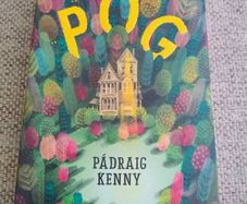 POG by Padraig Kenny 2019 paperback in very good condition FREE STANDARD POSTAGE INCLUDED