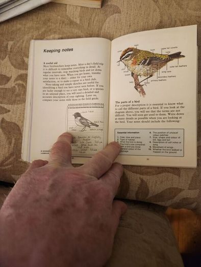 Whizz Kids. Birdwatching First Edition Vintage 1979 Paperback In Good Condition. 36.