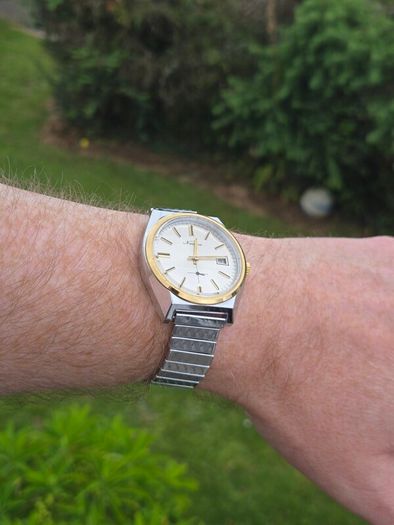 vintage Newton Watch