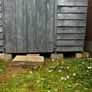 Shed 6x8ft Image 7