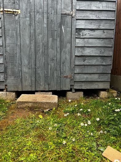 Shed 6x8ft