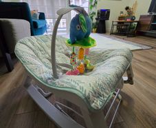 Baby Rocker