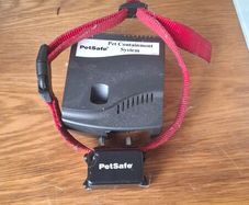 dog collar