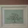 'Oak Tree' Image 9