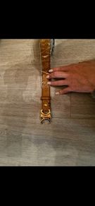belt
