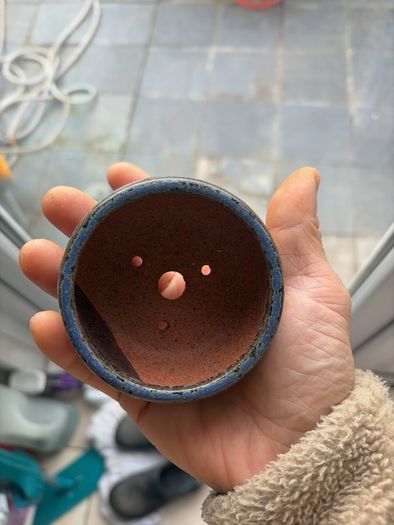 bonsai pot