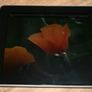 Apple iPad 1st Gen (A1219) 9.7" 32GB Image 8
