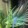jewel 200 litre Image 5