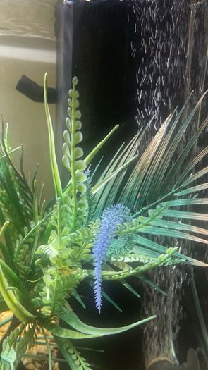 jewel 200 litre