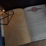 The Ghostkeeper's Journal Field Guide: An Augmented Reality Adventure ! Hardcover ! 2019 ! by Carlton Books ! Image 10