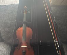 violin