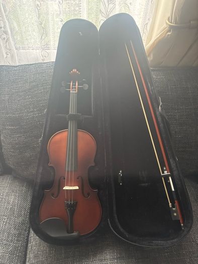 violin