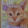 Cat World Image 3