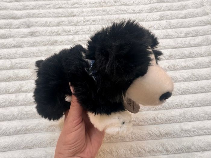 Keel Toys Jessie Border Collie Black White Dog Soft Plush approx. 25 cm. Blue Collar Used Please see photos