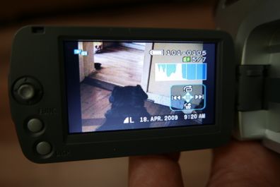 Canon DC301 DVD Camcorder with 36 x Optical Zoom - Silver, Tested - SD Card - DVD disks- Charger and Bag