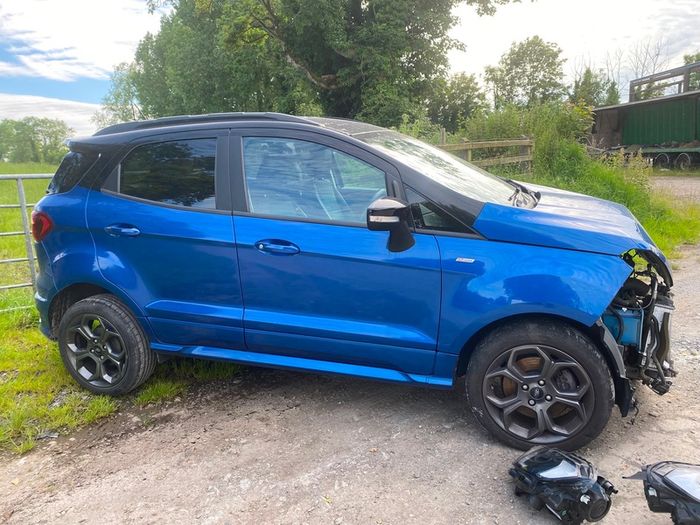 2019 Ford Ecosport ST-Line  Breaking for Parts