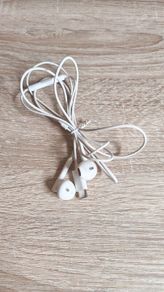 Earphones