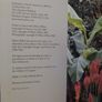 Helen Dillon / 1st Edition/ 2007 Image 5