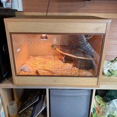 reptile tank , 2 year old , tortoise too big needs to upgrade !