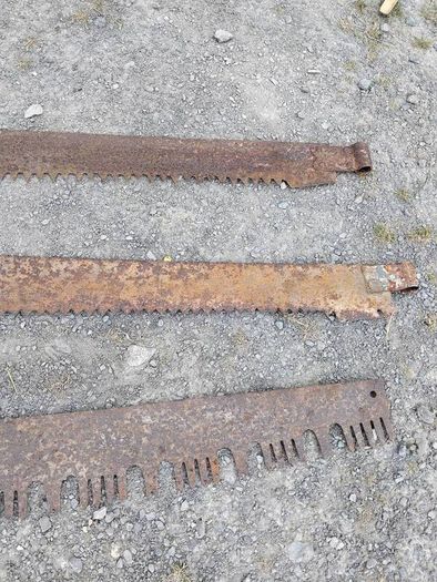 Three vintage crosscut saw blades,