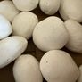 Full Pack of White Ceramic Pebbles for Gas / Bioethanol Fire (25-30 Pcs) Image 5