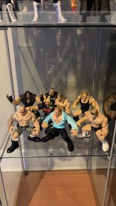 Wanted Wwe Wwf Maximum Sweat Figures